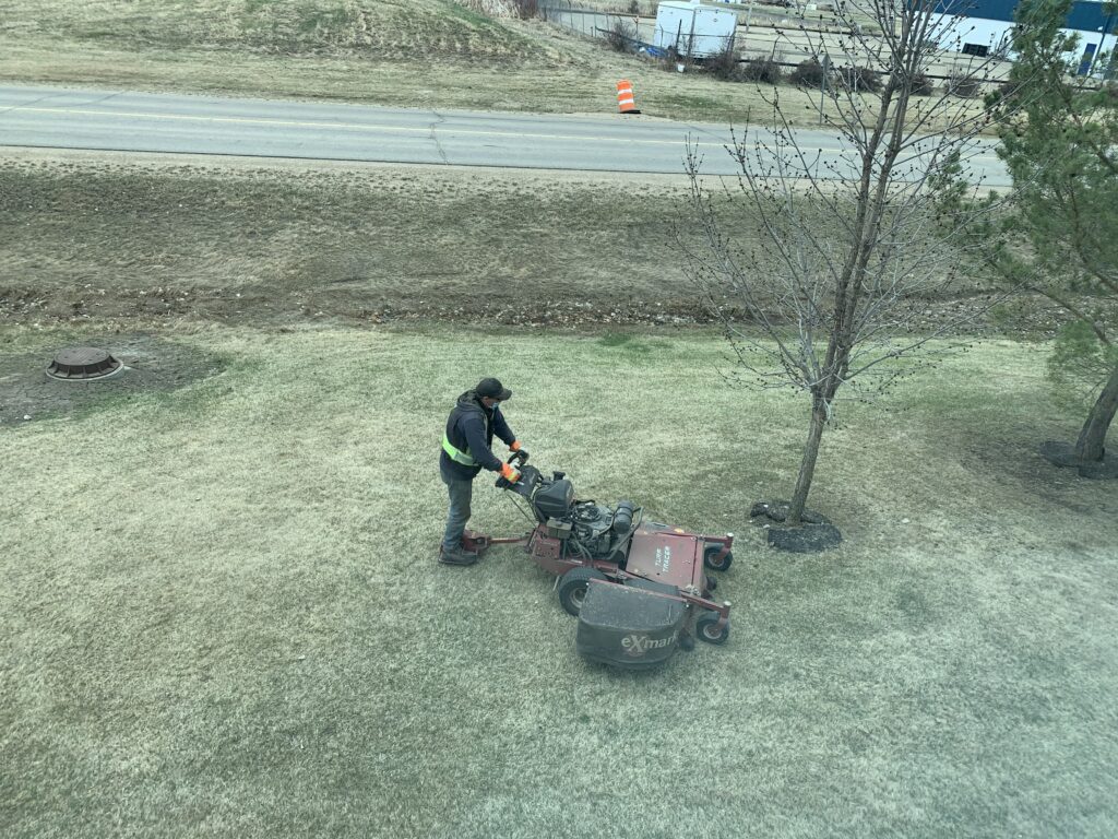 A Man Working Trimming on the Grass
