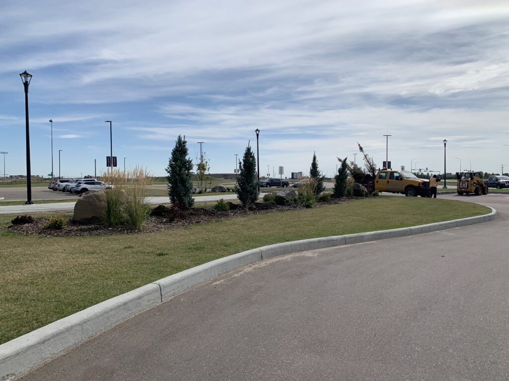 A Man Standing in Front of the Yellow Truck