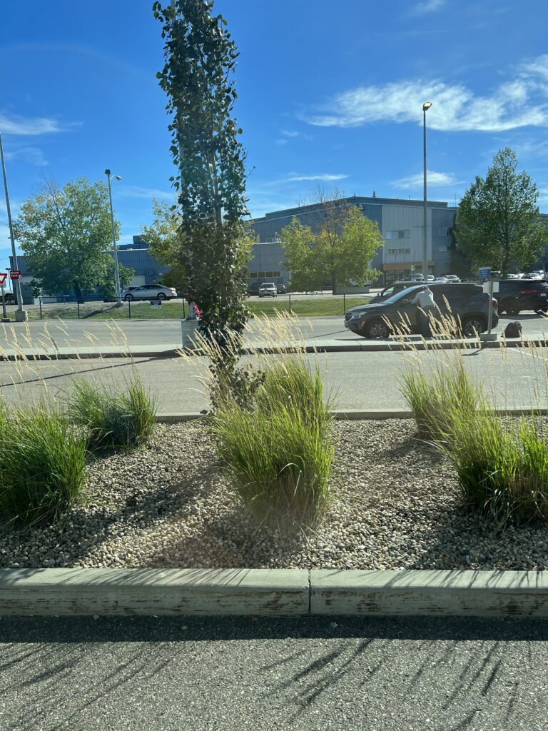 Parking Lot Near at the Warehouse